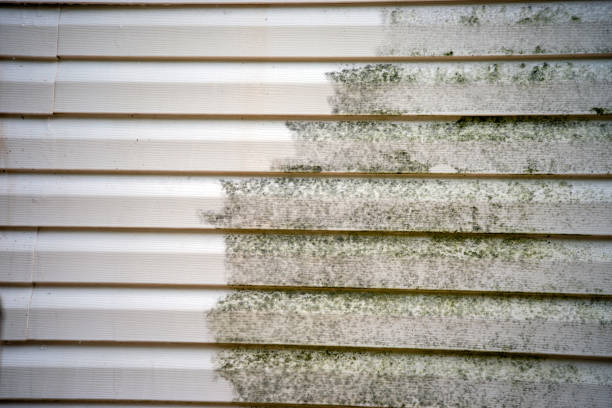 Best Property Management Cleanouts  in San Juan Pistrano, CA